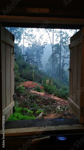 Forest view from wooden window