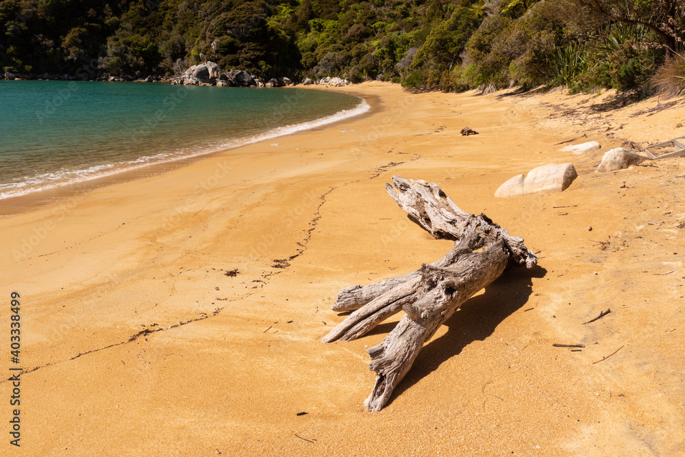 Driftwood log on the deserted, sandy beach at Pukatea Bay, Able Tasman National Park, New Zealand.