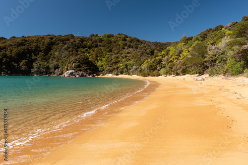 Принти на полотні The deserted, sandy beach at Pukatea Bay, Able Tasman National Park, New Zealand