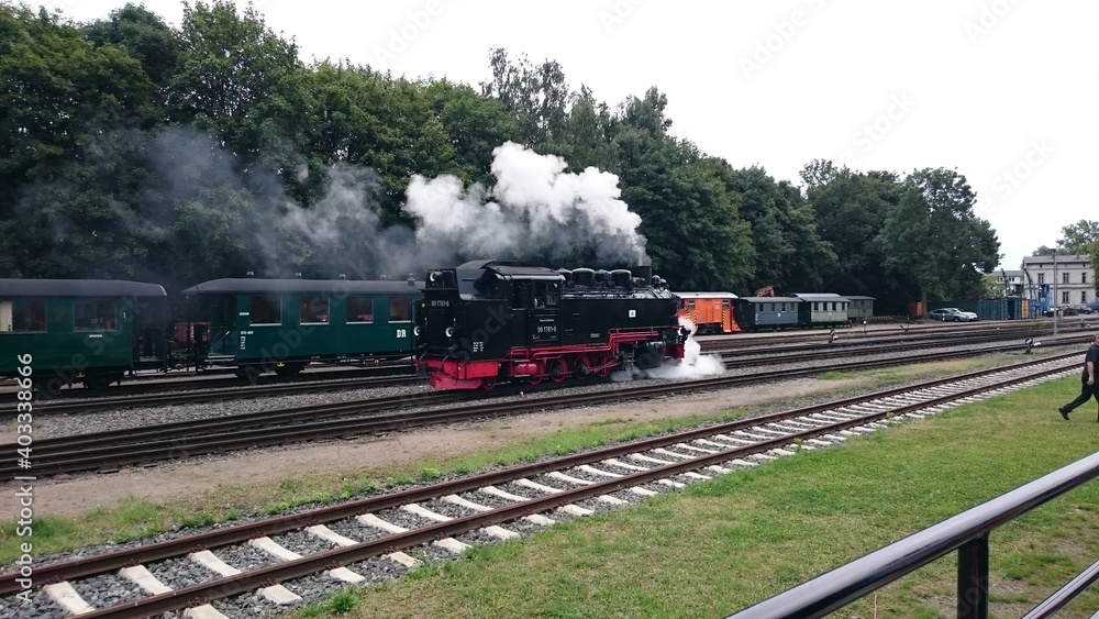 Obraz premium Dampfzug