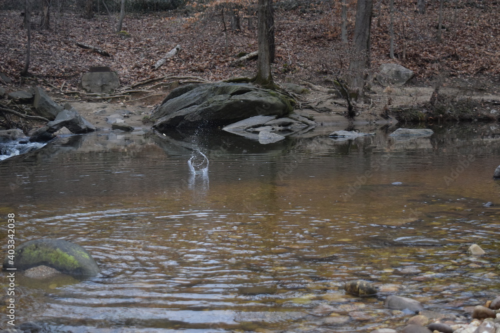 A skipping rock in a river A skipping rock in a river