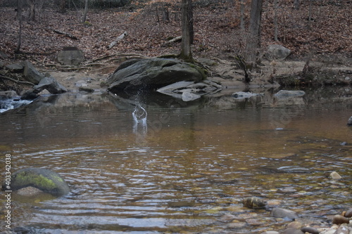 A skipping rock in a river