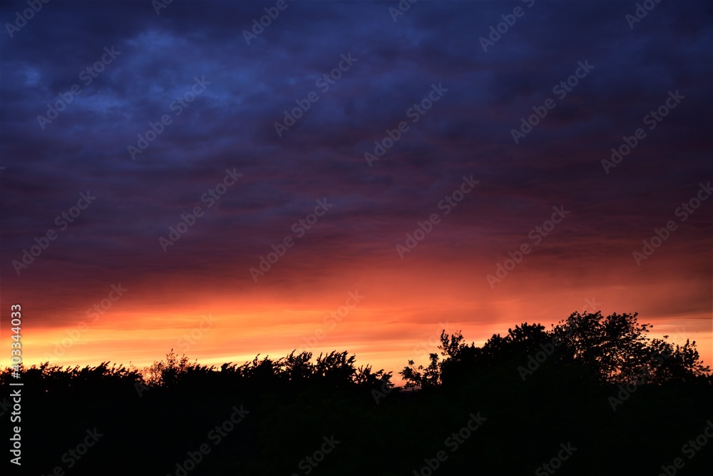 Sunset colouring clouds in orange, red, purple and blue above dark trees silhouettes on the horizon