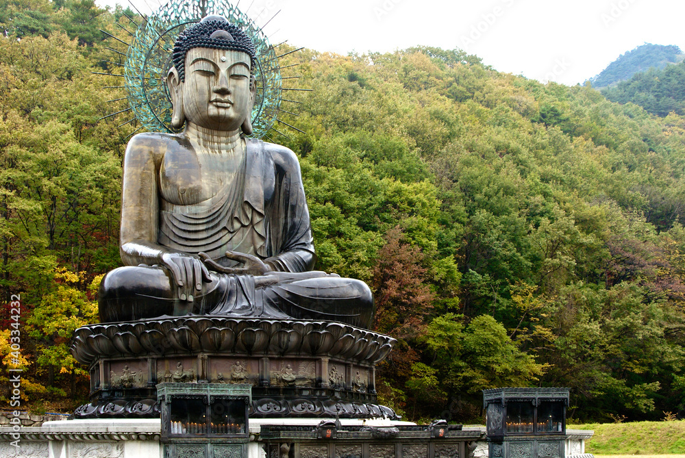 In Seoraksan National Park, South Korea, the Great Unification Buddha (Tongil Daebul) at Shinheungsa temple represents the wish of the Korean people for reunification of a divided country. In Seoraksan National Park, South Korea, the Great Unification Buddha (Tongil Daebul) at Shinheungsa temple represents the wish of the Korean people for reunification of a divided country.