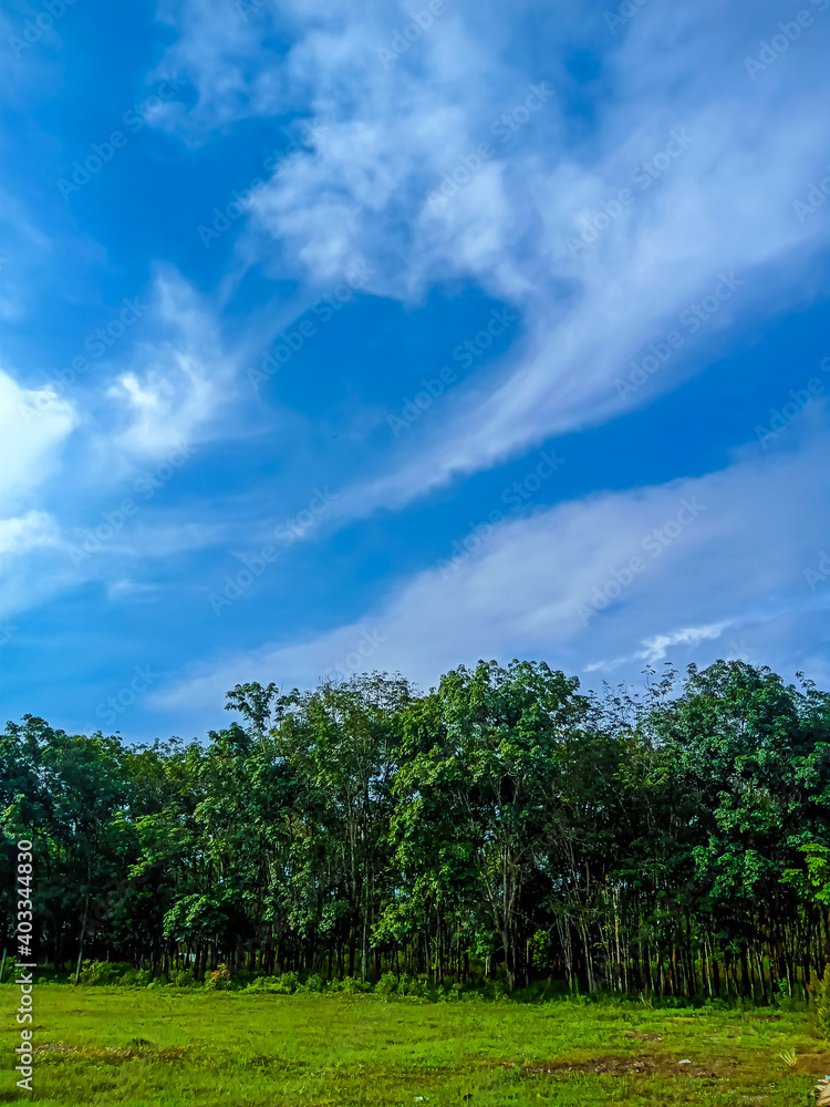 field and blue sky field and blue sky