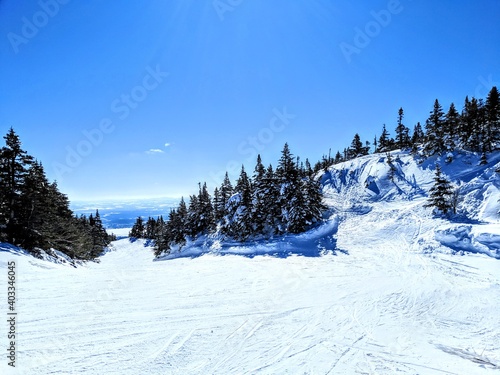 Bright white snowy ski slope bordered by fir trees seen from the top on a clear, blue sky sunny day photo