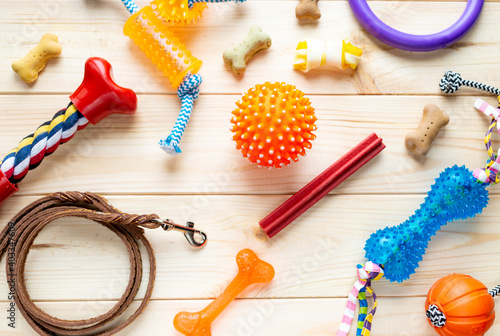 Different multicolored pet care accessories: ring, bones, leash, collar, balls on wooden background. Rubber and textile accessories for dogs. Top view, flat lay. Copy space