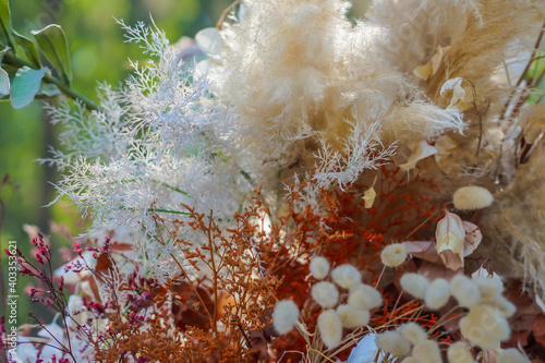 Flowers close-up