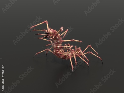 Monster centipede