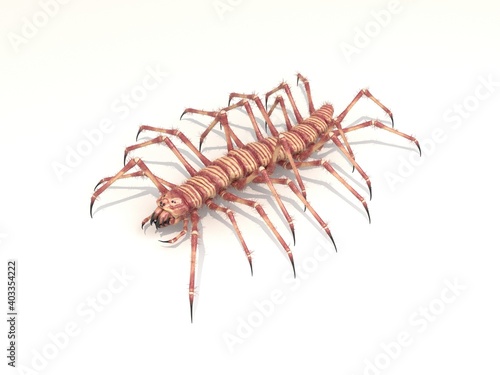 Monster centipede