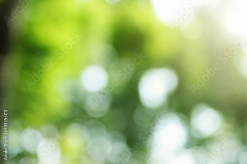 Blur background from tree and sky