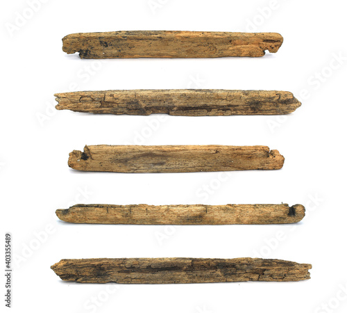 collection log wood on white background