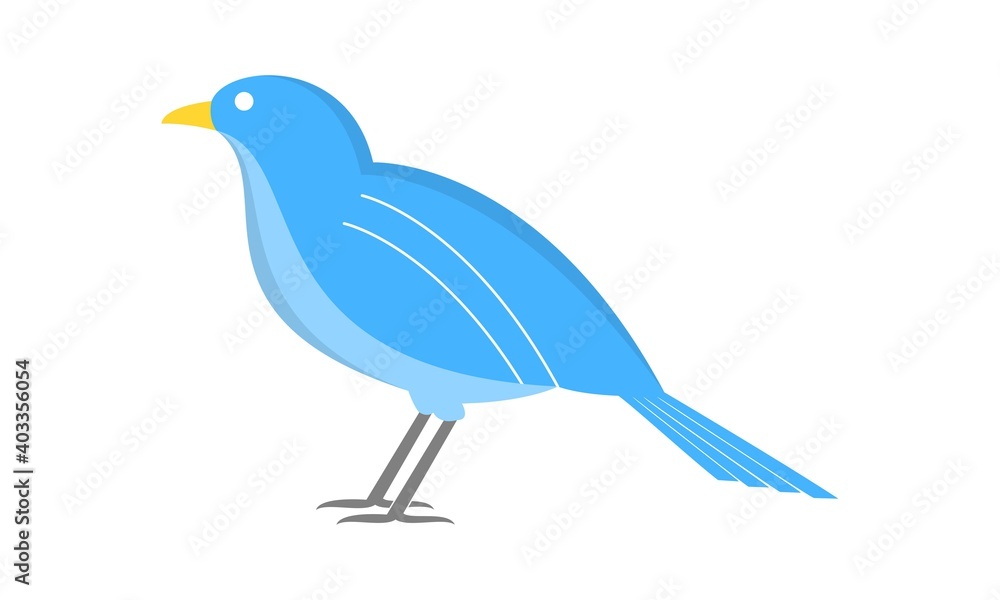 Fototapeta premium Bird animal illustration vector