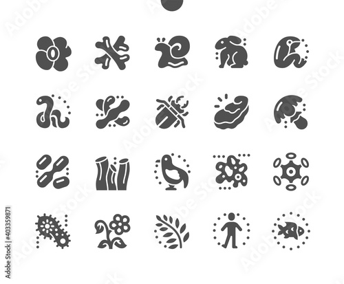 Multicellular organisms. Parasitic animal rafflesia. Bifidobacteria, amoeba, mushroom, virus, mollusk and other. Biology. Vector Solid Icons. Simple Pictogram
