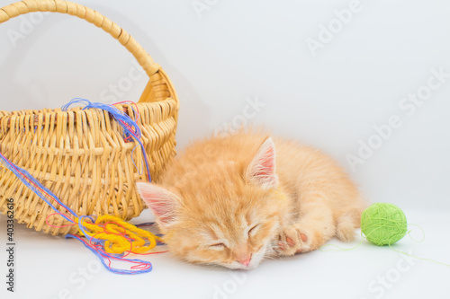 A funny ginger kitten lies next to a basket and colored balls of thread. © Sergei