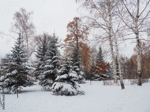 Wallpaper Mural winter Torontodigital.ca