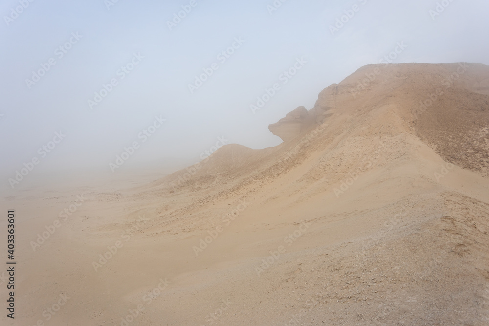 The foggy desert landscape