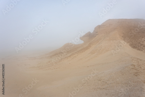 The foggy desert landscape