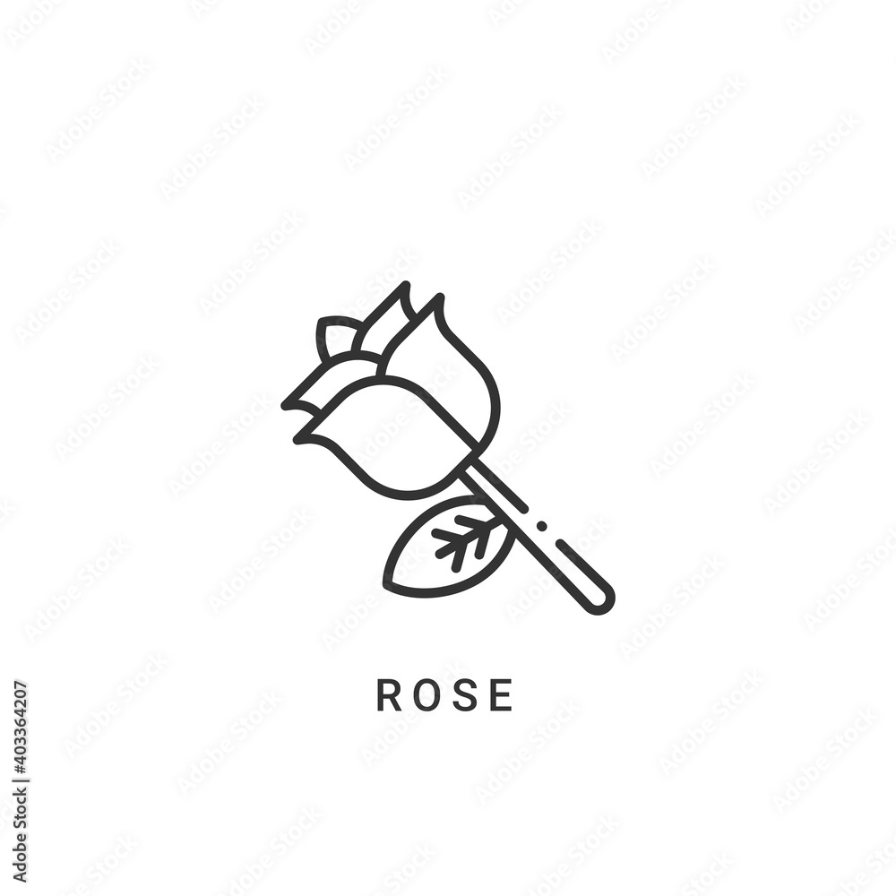 rose icon vector illustration. rose icon outline design. rose icon vector illustration. rose icon outline design.