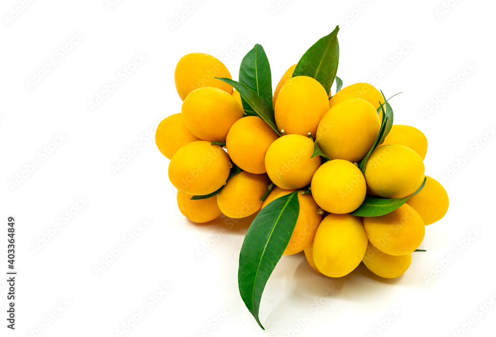 Isolated beautiful Marian Plum bunch or Plum Mango bunch on white background, tropical Thailand fruit, sweet and sour Asia fruit.