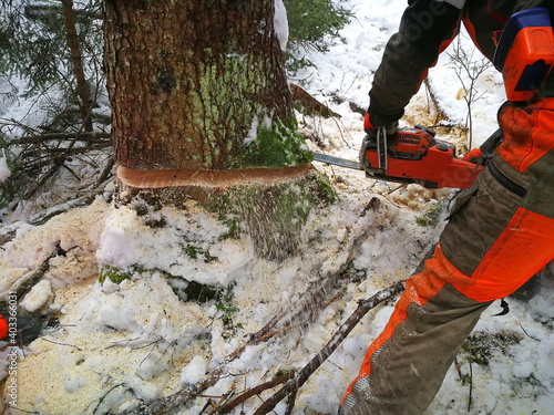 Forstarbeit, Unfall, Forstunfall