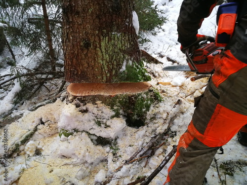 Forstarbeit, Unfall, Forstunfall