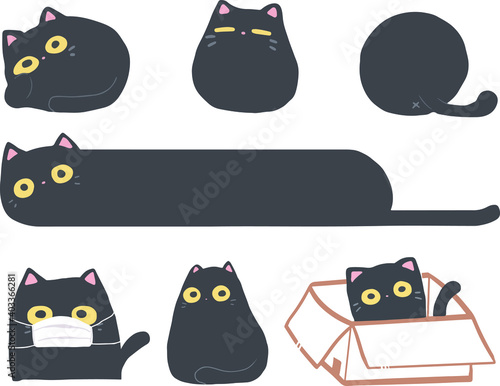 Nghom is a black cat with yellow eyes