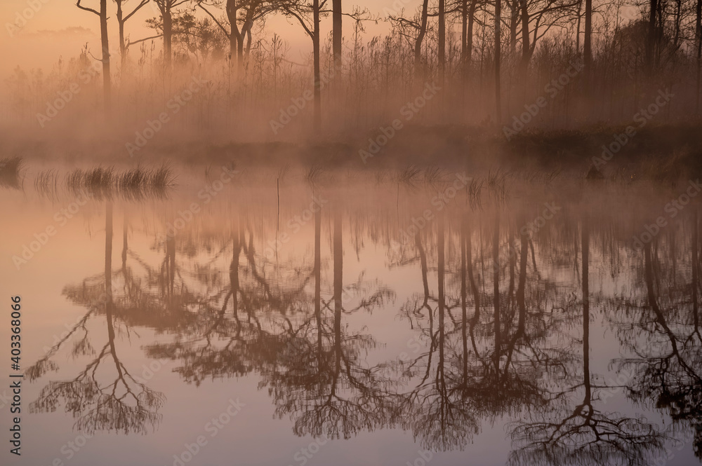 Sunrise over the river with foggy at Wang Kwang Reservoir Phu Kradueng National Park, Loei, Thailand Sunrise over the river with foggy at Wang Kwang Reservoir Phu Kradueng National Park, Loei, Thailand