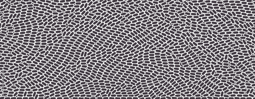 Black and white texture. Irregular array or matrix of random ovals. Vector illustration for print, textile, fabric, package, wrapping or cover. Black and white texture. Irregular array or matrix of random ovals. Vector illustration for print, textile, fabric, package, wrapping or cover.