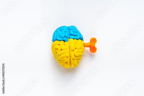 Ideas concept. Work of brain - model made of colorful clay, top view