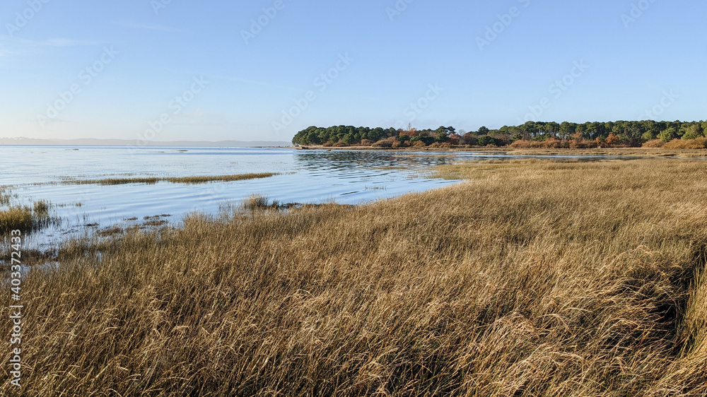 natural wild beach at claouey in Arcachon Bay France