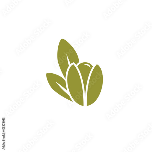 Argan nut green icon. beauty and cosmetics oil. Cosmetic ingredient carotene, carotin.