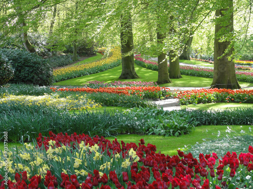 The multi-colored tulips in the Keukenhof gardens. © bARTkow
