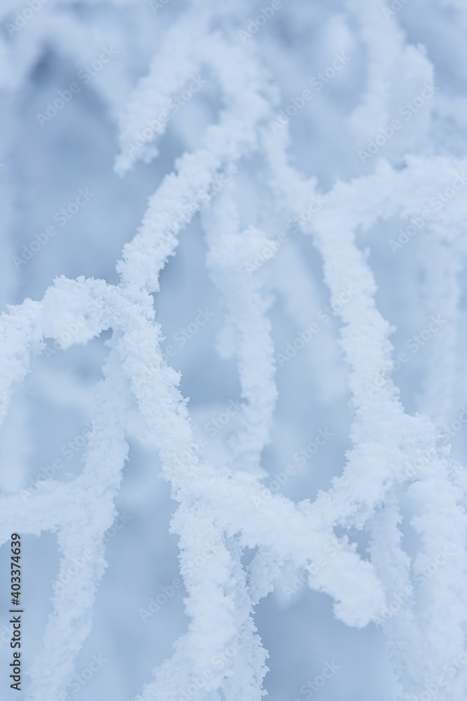 Naklejka premium Snow and rime ice on the branches of bushes. Beautiful winter background with trees covered with hoarfrost. Plants in the park are covered with hoar frost. Cold snowy weather. Cool frosting texture.
