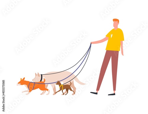 Funny guy holding pack of dogs on leash vector flat illustration. Male volunteer dog sitter walking with pets outdoor isolated on white. Service for care, walking domestic animals or nursery