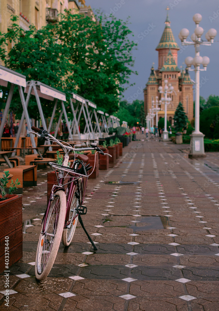 bicycle on the street