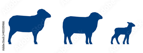 Low poly ram, sheep and lamb on white background. Blue silhouettes. Vector Illustration