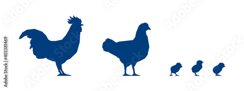 Fotografiet Low poly rooster, chicken and chicks on white background
