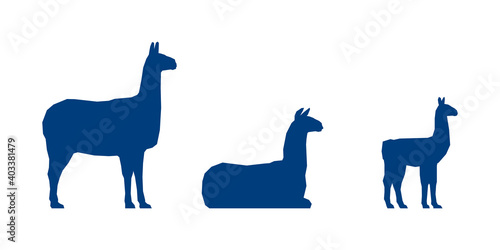 Low poly llamas and calf on white background. Blue silhouettes. Vector Illustration