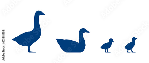 Low poly geese and goslings on white background. Blue silhouettes. Vector Illustration