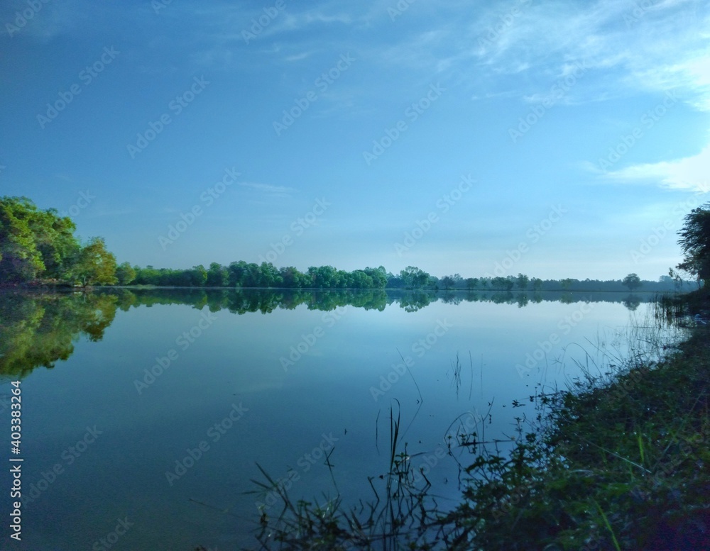 lake in the forest