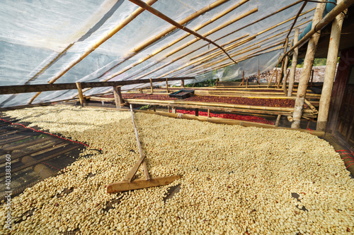 Parchment coffee Dry in the coffee house