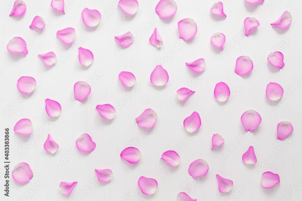 Pattern of pink rose petals on a white painted wooden background. Top view, flat lay. Beautiful floral background.