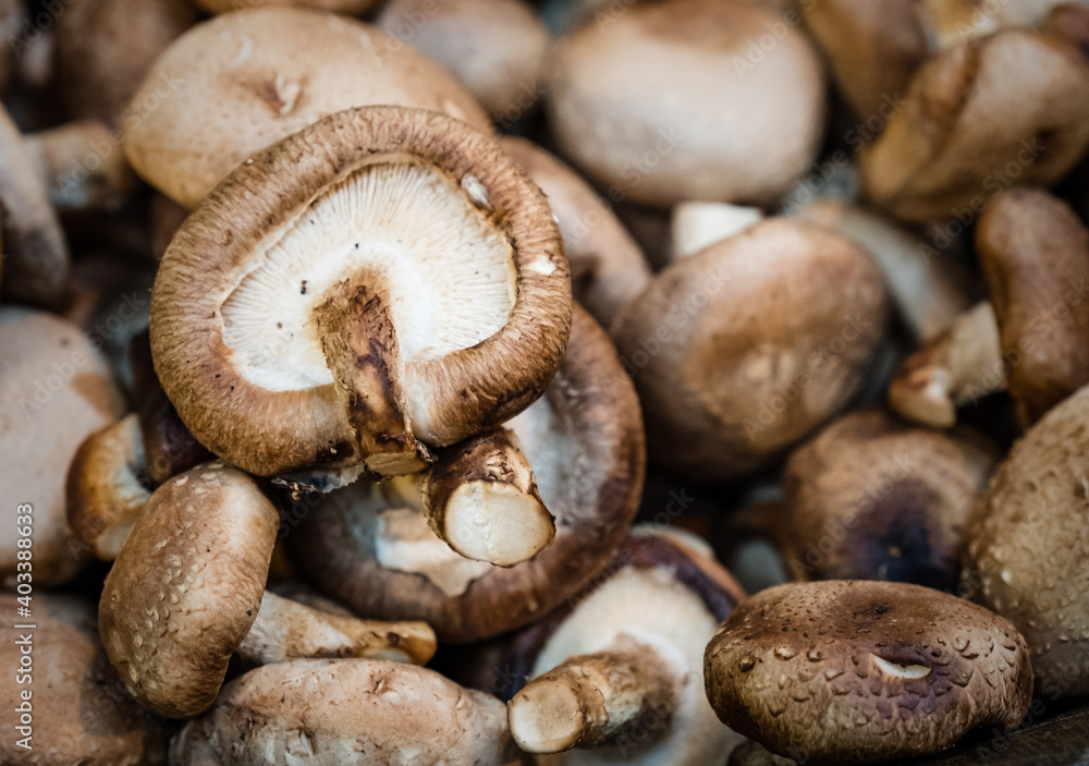 Cremini Mushrooms On Sale At Borough Market, London Cremini Mushrooms On Sale At Borough Market, London