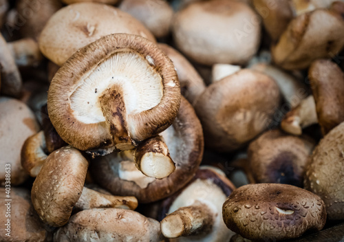 Cremini Mushrooms On Sale At Borough Market, London