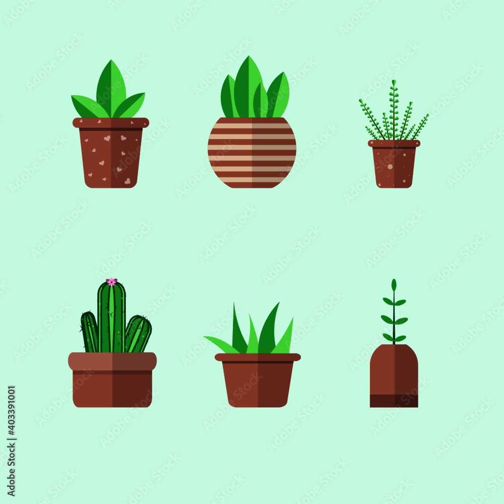 Obraz premium Set Of Potted Plant