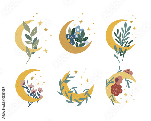 Magic moon collection. Vector moon and stars boho set. Celestial graphic elements with flowers and plants