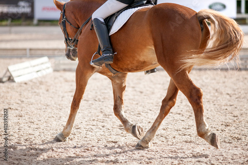 A red sports horse with a rider riding with his foot in a boot.