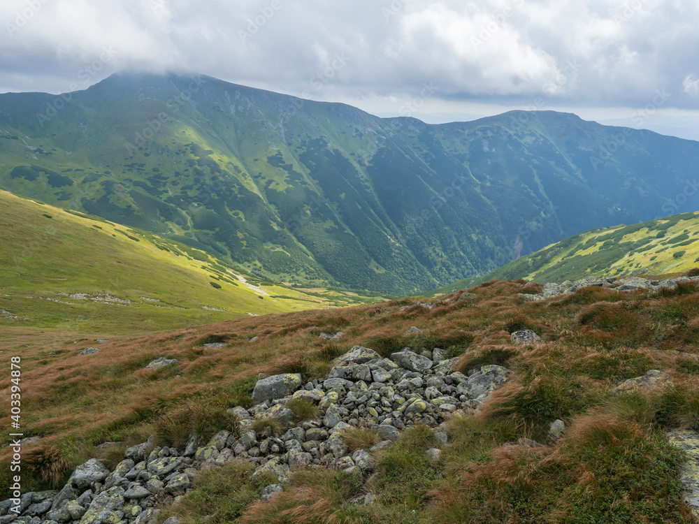 View from grassy hill slopes of hiking trail from Chopok at mountain meadow landscape of ridge Low Tatras mountains Nature park, Slovakia. cloudy late summer day View from grassy hill slopes of hiking trail from Chopok at mountain meadow landscape of ridge Low Tatras mountains Nature park, Slovakia. cloudy late summer day