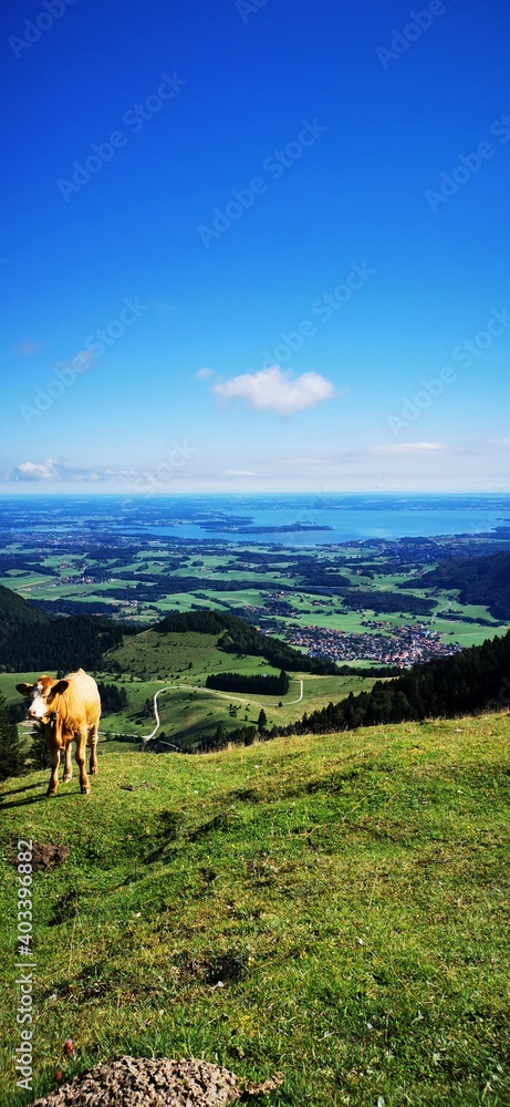 Fototapeta premium Laubenstein am Chiemsee